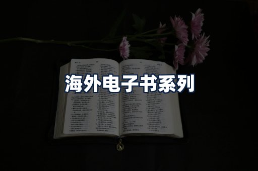 海外电子书
